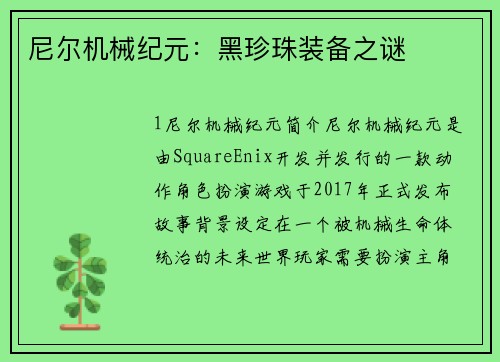 尼尔机械纪元:黑珍珠装备之谜